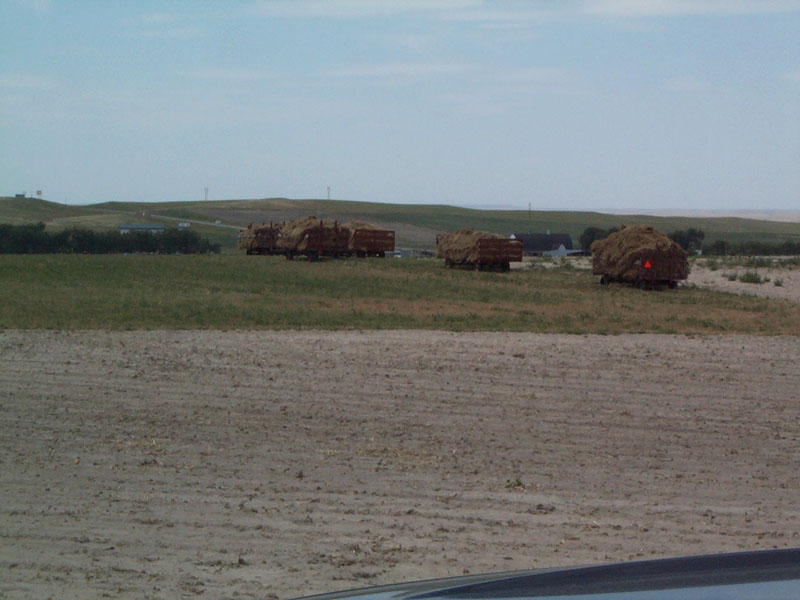 chadron tractor pull 2005 002