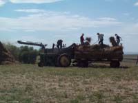 chadron tractor pull 2005 007