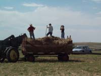 chadron tractor pull 2005 010