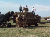 chadron tractor pull 2005 026